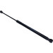 Gasfeder, Hinten li. L 513 170N Ford Ecosport 15 INTER-STOP® 738545