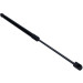 GASFEDER, KOFFER-/LADERAUM | 12-2394