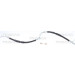 Bremsschlauch | 815050228 Bremsschlauch | 815050228