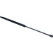 Gasfeder, Hinten L 516 560N NISSAN Pulsar 14 LIFT-O-MAT® 925188