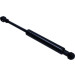 Gasfeder, Motorhaube | 229343