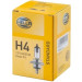 HELLA Glühlampe, Nebelscheinwerfer | 8GJ 002 525-131