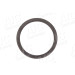 Sensorring ABS | CITROEN | 55465