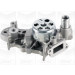 PA 981 Wasserpumpe | RENAULT Clio II 1.2 98-09 | PA981