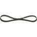Keilrippenriemen | PEUGEOT,CITROEN,FORD,VOLVO | 1987948342 Keilrippenriemen | PEUGEOT,CITROEN,FORD,VOLVO | 1987948342