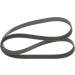 Keilrippenriemen | MERCEDES,BMW,MAZMINSK,MAN,SCANIA | 1987947052 Keilrippenriemen | MERCEDES,BMW,MAZMINSK,MAN,SCANIA | 1987947052