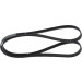 Keilrippenriemen | DACIA,RENAULT,LAND ROVER,BMW | 1987946091 Keilrippenriemen | DACIA,RENAULT,LAND ROVER,BMW | 1987946091