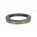 Sensorring ABS | MERCEDES | 55413 Sensorring ABS | MERCEDES | 55413