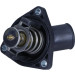 Thermostat, Kühlmittel | TH7317.82J Thermostat, Kühlmittel | TH7317.82J