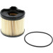 CFF100251 Kraftstofffilter