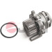 JPN Wasserpumpe 10C9079-JPN