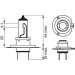 BOSCH | Glühlampe | 1 987 301 426 BOSCH | Glühlampe | 1 987 301 426