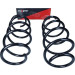 Fahrwerksfeder | 60-1108D Fahrwerksfeder | 60-1108D