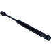 Gasfeder, Koffer-/Laderaum | 12-0302 Gasfeder, Koffer-/Laderaum | 12-0302