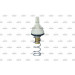 Thermostat, Kühlmittel | 725085 Thermostat, Kühlmittel | 725085