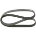 Keilrippenriemen | RENAULT,BMW | 1987946248 Keilrippenriemen | RENAULT,BMW | 1987946248