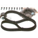 Steuerriemen Kit inkl. Wapu | VOLVO XC60,XC90,V60,XC70,V70,V40,S60 | 1987946910 Steuerriemen Kit inkl. Wapu | VOLVO XC60,XC90,V60,XC70,V70,V40,S60 | 1987946910
