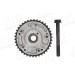 Nockenwellenversteller | BMW 1,3,5,X1,X3,Z4 01 | 58384 Nockenwellenversteller | BMW 1,3,5,X1,X3,Z4 01 | 58384