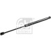 Gasfeder, Koffer-/Laderaum | 31679 Gasfeder, Koffer-/Laderaum | 31679
