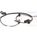 Sensor, Raddrehzahl | 818042325 Sensor, Raddrehzahl | 818042325