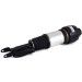 ARNOTT Fahrwerksfeder | AS-2245