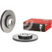 Bremsscheibe VA FORD PRIME LINE - UV Coated 09.B588.21