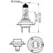H7 12V 55W PX26d Vision Plus +60% 2 St. Philips | 12972VPC2 H7 12V 55W PX26d Vision Plus +60% 2 St. Philips | 12972VPC2