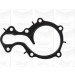 PA 1247 Wasserpumpe | FORD Focus 1.0 EcoBoost 12 | PA1247 PA 1247 Wasserpumpe | FORD Focus 1.0 EcoBoost 12 | PA1247