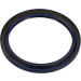 Wellendichtring Kurbelwelle | SUZUKI | 81-53701-00 Wellendichtring Kurbelwelle | SUZUKI | 81-53701-00