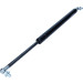 Gasfeder, Koffer-/Laderaum | 24442 Gasfeder, Koffer-/Laderaum | 24442