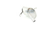 52 / Auspufftopf Hinten | MITSUBISHI Colt 1.1i, 1.3i 04 | 23664 52 / Auspufftopf Hinten | MITSUBISHI Colt 1.1i, 1.3i 04 | 23664