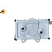 Ölkühler, Motor“L | 31180 Ölkühler, Motor“L | 31180