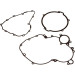 Satz Motordichtungssatz. Moto. Aprilia Rxv 550 2006-2011 | 411A352FL Satz Motordichtungssatz. Moto. Aprilia Rxv 550 2006-2011 | 411A352FL