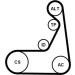CONTINENTAL CTAM Keilrippenriemensatz 6PK1173K2