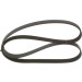 Keilrippenriemen | TOYOTA Hilux | 1987947560 Keilrippenriemen | TOYOTA Hilux | 1987947560