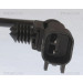 Sensor, Raddrehzahl | 818081201 Sensor, Raddrehzahl | 818081201