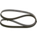 Keilrippenriemen | TOYOTA,FIAT,UAZ,GAZ | 1987947885 Keilrippenriemen | TOYOTA,FIAT,UAZ,GAZ | 1987947885