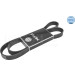 Keilrippenriemen 7Pk1605 | 500071605 Keilrippenriemen 7Pk1605 | 500071605