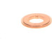 Dichtring | Diverse | F 00R J01 453 Dichtring | Diverse | F 00R J01 453