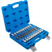BGS Bit-Einsatz-Satz | Antrieb Innenvierkant 12,5 mm (1/2"""") | Innensechskant, T-Profil (für Torx), Innenvielzahn (für XZN) mit Kugelkopf | 20-tlg | 5170 BGS Bit-Einsatz-Satz | Antrieb Innenvierkant 12,5 mm (1/2"""") | Innensechskant, T-Profil (für Torx), Innenvielzahn (für XZN) mit Kugelkopf | 20-tlg | 5170