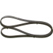 Keilrippenriemen | MITSUBISHI,TOYOTA,CITROEN | 1987948497 Keilrippenriemen | MITSUBISHI,TOYOTA,CITROEN | 1987948497