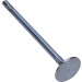 Einlassventil | R6145/SCR Einlassventil | R6145/SCR