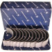 Pleuellager | 77531600 Pleuellager | 77531600