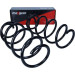 Fahrwerksfeder | 60-1255D Fahrwerksfeder | 60-1255D