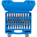 BGS Bit-Einsatz-Satz | Antrieb Innenvierkant 12,5 mm (1/2"""") | Innensechskant, T-Profil (für Torx), Innenvielzahn (für XZN) mit Kugelkopf | 20-tlg | 5170 BGS Bit-Einsatz-Satz | Antrieb Innenvierkant 12,5 mm (1/2"""") | Innensechskant, T-Profil (für Torx), Innenvielzahn (für XZN) mit Kugelkopf | 20-tlg | 5170