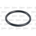 VALEO Kraftstofffilter | 587702 VALEO Kraftstofffilter | 587702