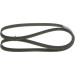 Keilrippenriemen | CHEVROLET,OPEL | 1987946059 Keilrippenriemen | CHEVROLET,OPEL | 1987946059