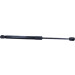 Gasfeder, Vorne L=378 125N | CITROEN DS5 11/11 | 491627 Gasfeder, Vorne L=378 125N | CITROEN DS5 11/11 | 491627