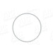 Sensorring ABS | BMW | 55333 Sensorring ABS | BMW | 55333
