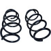 Fahrwerksfeder | 60-0923D Fahrwerksfeder | 60-0923D